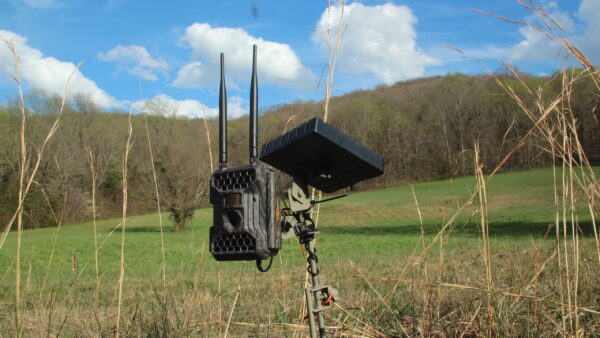 Snyper Cellular Trail Camera - Image 4