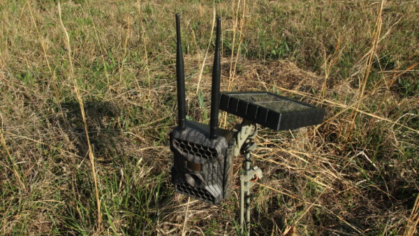 Snyper Cellular Trail Camera - Image 5