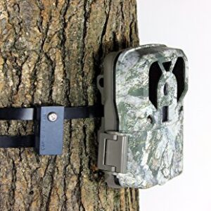 Trail Camera